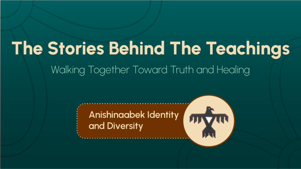 Anishinaabek Identity and Diversity preview